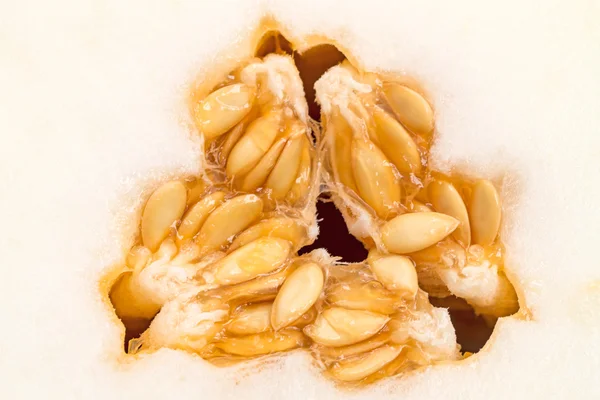 Seeds in the center of the melon — Stock Photo, Image