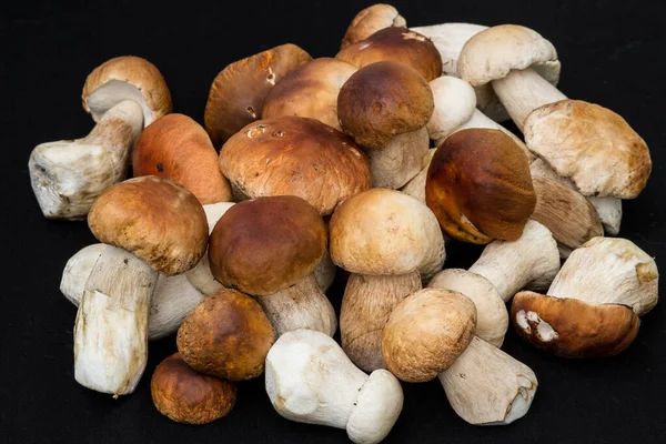 Bunch Porcini Mushrooms Black Background — Stock Photo, Image