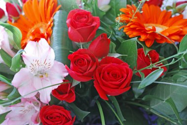 Arka plan değişik çiçek 