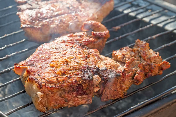 Grands morceaux de viande grillés — Photo