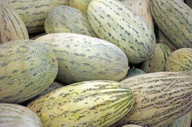 Arka plan dikdörtgen kavun