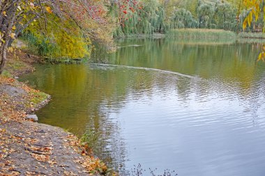 Göletin kıyısında.