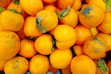 Yığın Trabzon hurması 