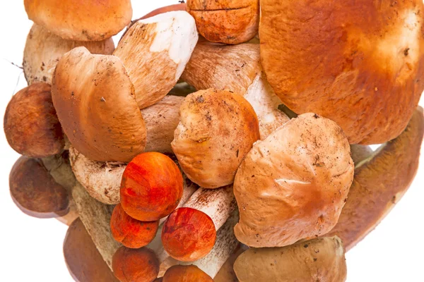 Handful of mushrooms — Stock Photo, Image