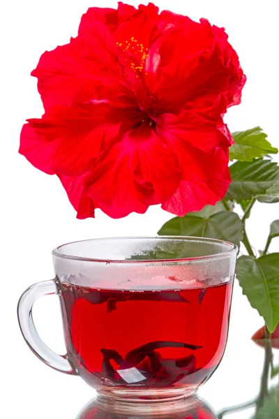 Hot tea and hibiscus flower — Stock Photo, Image