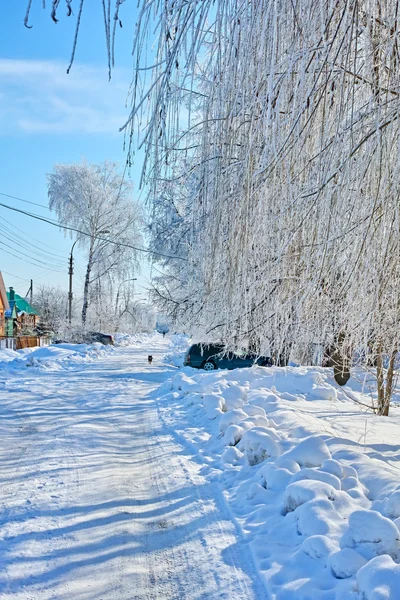 Rural straat in een winterdag — Stockfoto