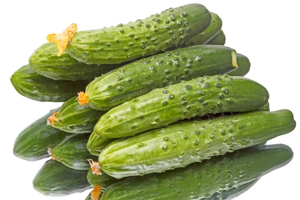 Cucumbers from the greenhouse — Stock Photo, Image