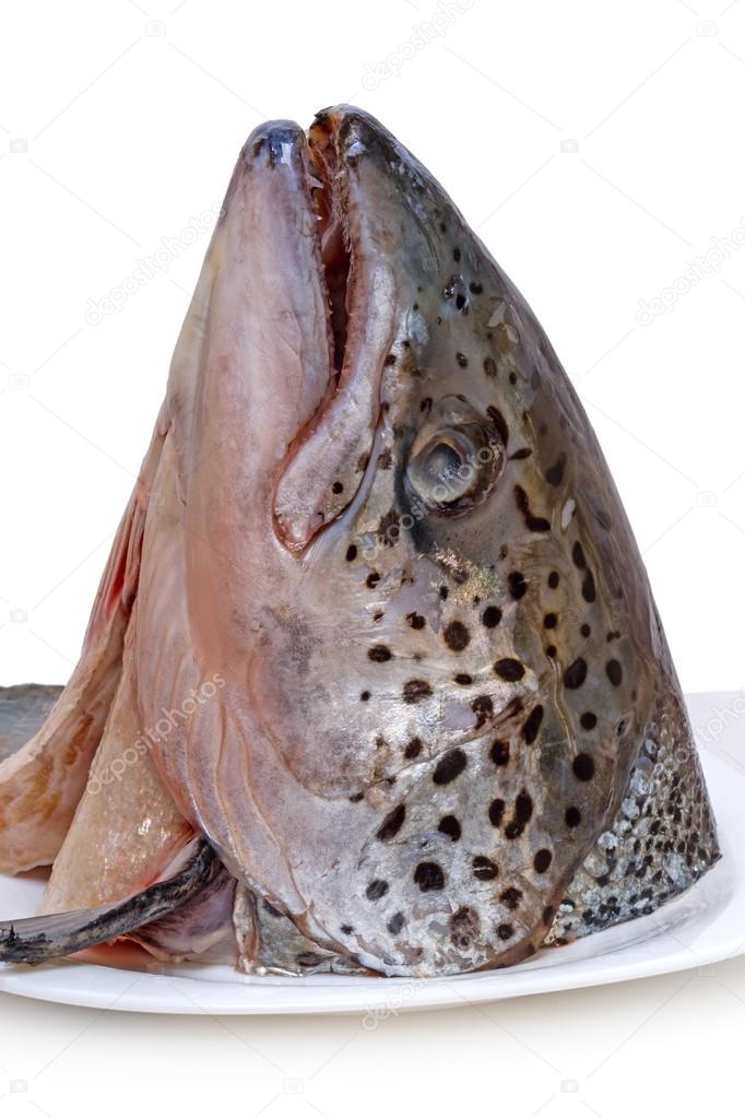 Head of salmon on a plate