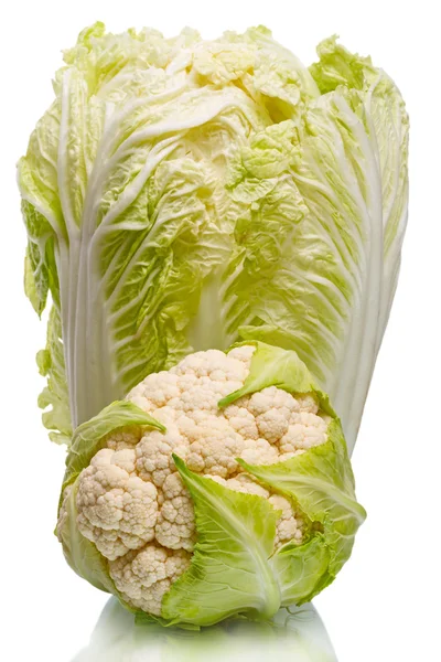 Cauliflower and napa cabbage — Stock Photo, Image