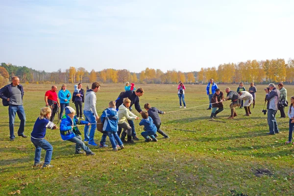 Tug of war - barn mot vuxna Stockbild