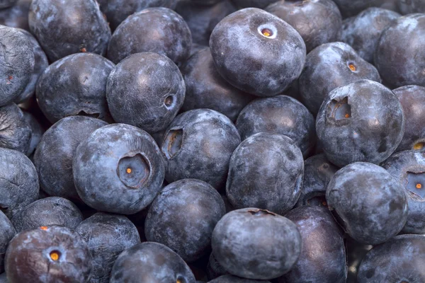 Olgun büyük bilberry arka plan — Stok fotoğraf