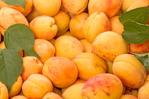 Background from apricots — Stock Photo, Image