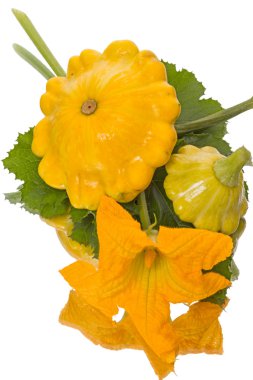 Sarı pattypan kabak