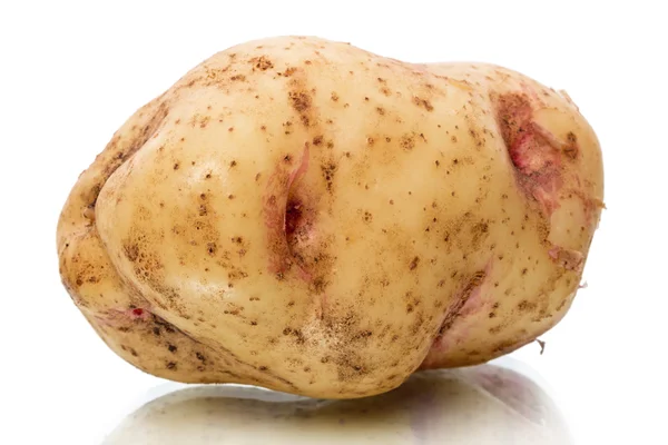 One potato tuber — Stock Photo, Image