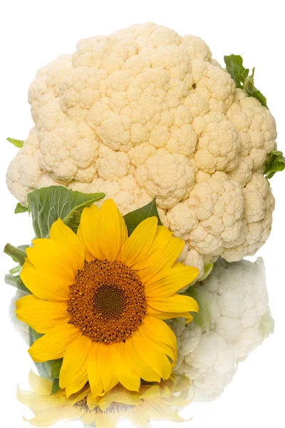 Sunflower and cauliflower — Stock Photo, Image