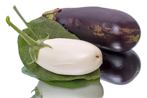 White and blue eggplant — Stock Photo, Image