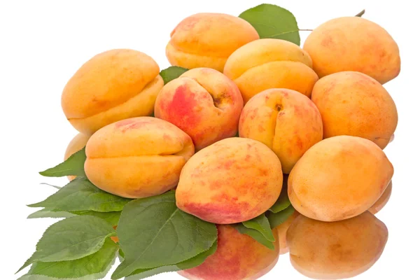 Ripe apricots with reflection — Stock Photo, Image