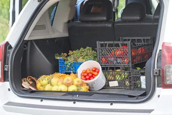 Legumes e frutas no porta-malas do carro — Fotografia de Stock