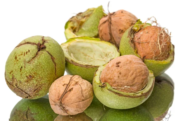 Walnuts in the green shell — Stock Photo, Image