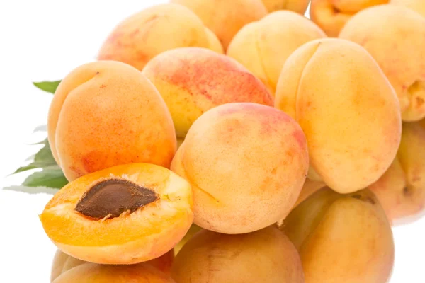 Apricots with reflection — Stock Photo, Image