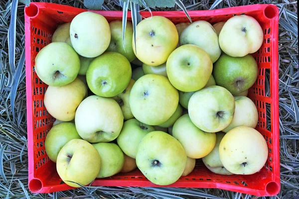 Vak met de groene appels — Stockfoto