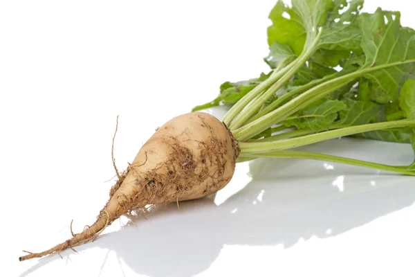 Sugar beet on a white surface — Stock Photo, Image