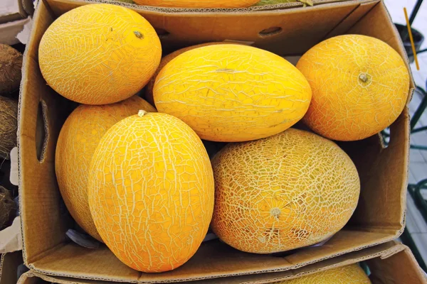 Melone giallo in una scatola — Foto Stock