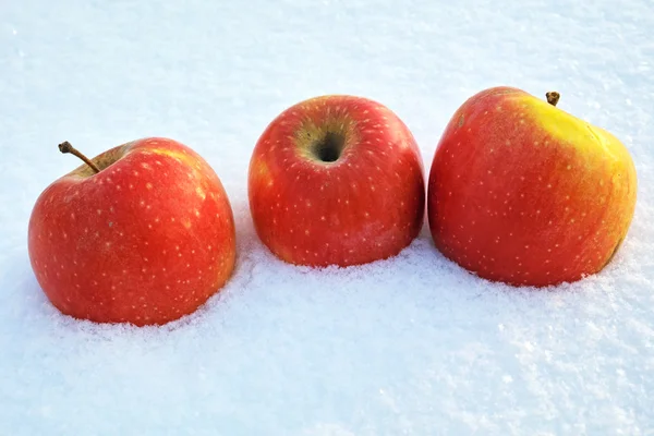 Drie appels in de sneeuw — Stockfoto