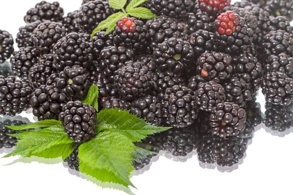 Pile of blackberries — Stock Photo, Image