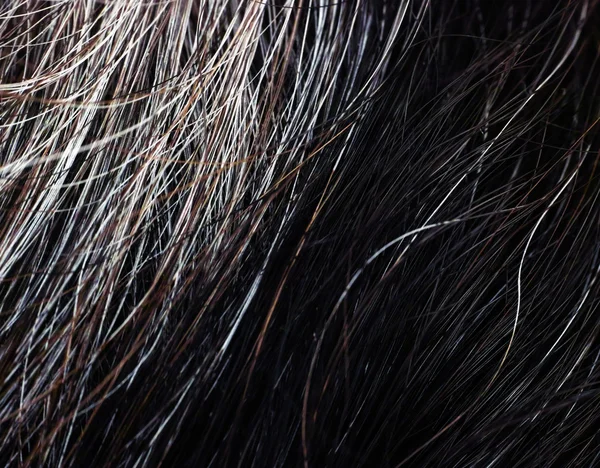 Gri ve siyah saçlı kadın — Stok fotoğraf