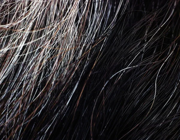 Mujer de pelo gris y negro — Foto de Stock