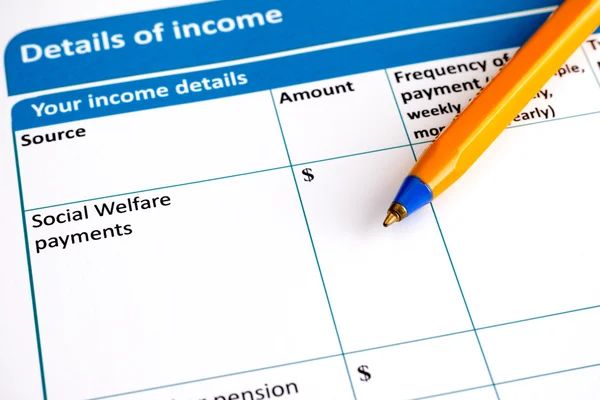 Details of income form — Stock Photo, Image