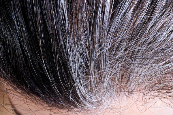 Raízes de cabelo cinza e preto mulher — Fotografia de Stock