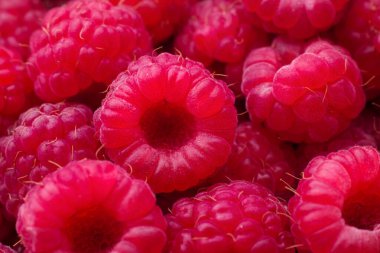 Taze olgun ahududu arka planı. Yakın plan. Tam çerçeve.