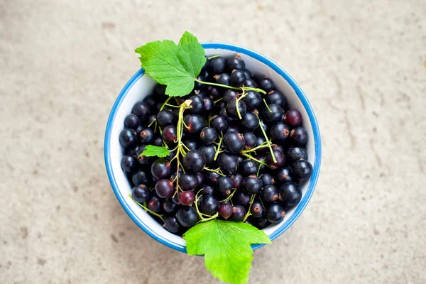 Schüssel Mit Schwarzen Johannisbeeren Und Blättern Auf Grauem Hintergrund Nahaufnahme — Stockfoto