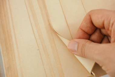 Eski bir kitabın sayfalarını çeviren kişi.