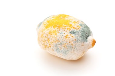 Çürüyen limon ile kalıp.