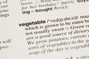 Sözlük tanımı kelime sebze