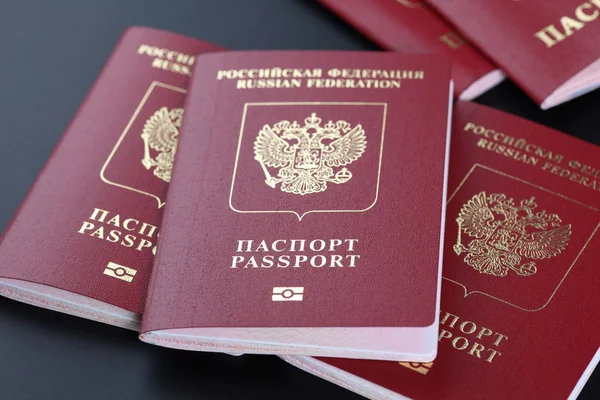 Паспорта гражданина России — стоковое фото