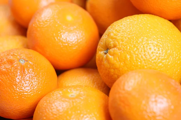 Citrus fruit (Oranges and tangerines) Stock Picture