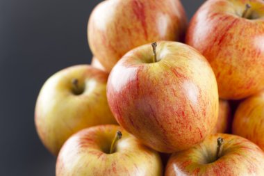 Taze Organik Elmalar