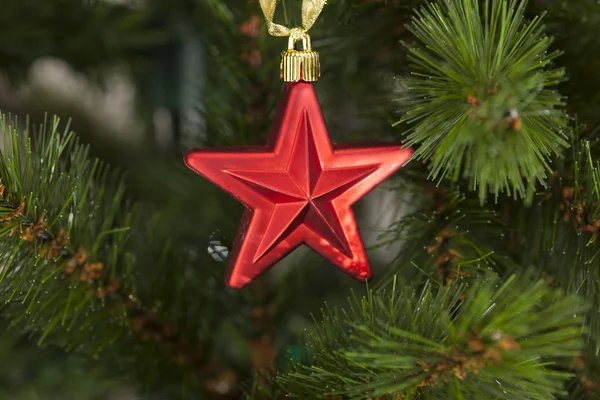 Röd stjärna på julgran — Stockfoto