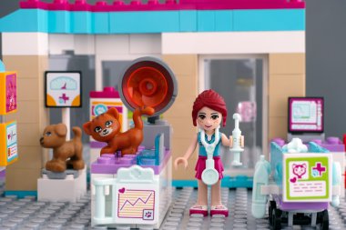 Lego arkadaş veteriner Kliniği ile evcil hayvan ve doktor