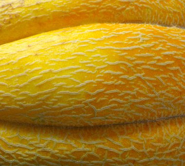 Sarı kavun arka plan.