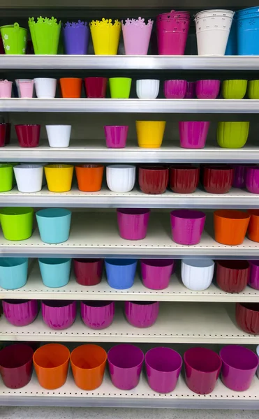 Flower pots on shelves — Stock Photo, Image