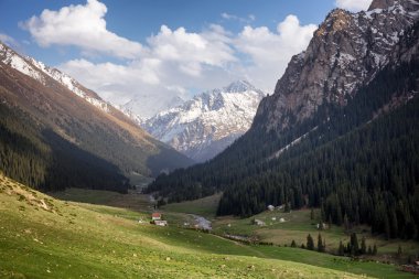Tian Shan dağ, Kırgızistan vadide 