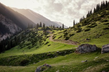 Tian Shan dağ, Kırgızistan vadide 