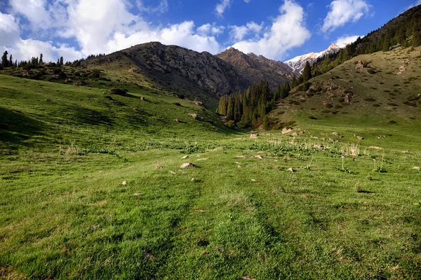 Vale em Tian Shan montanha, Quirguistão — Fotografia de Stock