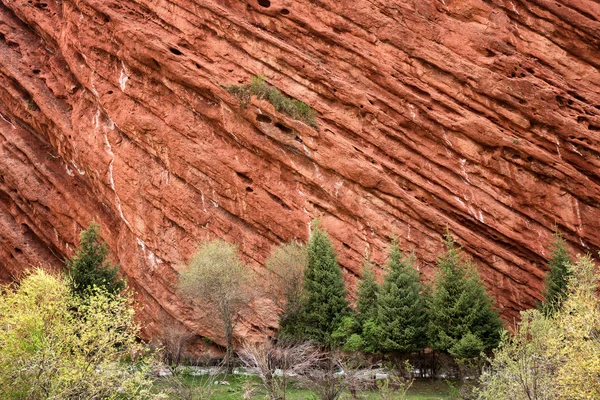 Formazioni rocciose rosse in Kirghizistan — Foto Stock