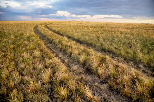 Virada de estrada rural em estepes — Fotografia de Stock